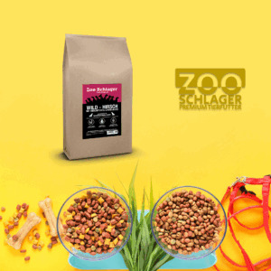 Getreidefrei Wild Hirsch mit Süßkartoffel & Maulbeere für Ausgewachsene Hunde