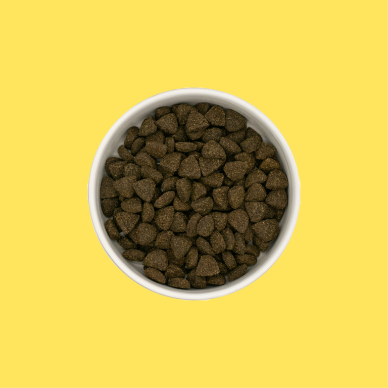 Lamm aus Wiesenaufzucht Superfoods - Für Ausgewachsene Hunde – Bild 3